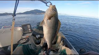 カヤックフィッシング (山口）　釣果厳しい（？）冬の日本海編　Tough kayak fishing in mid winter