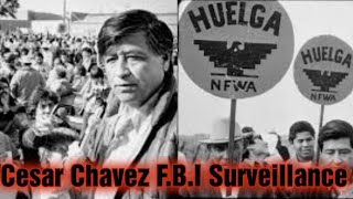 Cesar Chavez F.B.I Surveillance Reports!!! UFW Under Constant Investigation!!! #new #cesarchavez