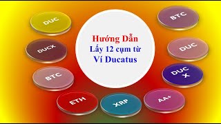 Hướng Dẫn Lấy Lại 12 Cụm Từ Ví Ducatus