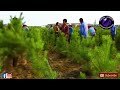 how china turned the desert into green forests ചൈന എങ്ങനെ മരുഭൂമിയെ വനമാക്കി latest news