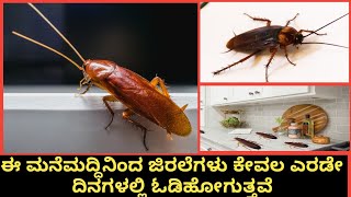 ಈ ಮನೆಮದ್ದಿನಿಂದ ಜಿರಳೆಗಳು ಬೇಗನೇ  ಓಡಿಹೋಗುತ್ತವೆ|how to get rid of cockroaches in Kannada|ಜಿರಲೆಗಳ ನಾಶ