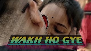 Wakh Ho Gaye : Binnie Toor ( New Punjabi song) Full HD || Axar || Jiya || Latest sad Punjabi song ||