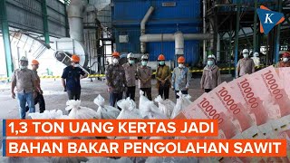 1,3 Ton Uang Kertas Dijadikan Bahan Bakar CPO di Bangka Belitung