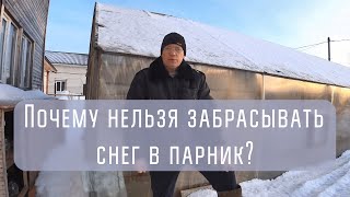 Никогда не забрасывайте снег в теплицу (парник)! Вы удивитесь, почему