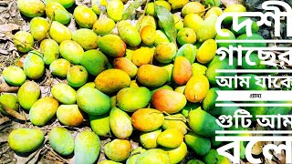 নিজেদের গাছের দেশী গুটি আম।The native of their own trees are mangoes.