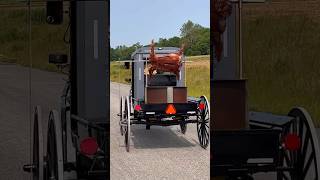 We cooked an ENTIRE PIG on an Amish Buggy 🔥🐖