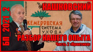 Кашковский, Пасека Лаврова и свищевые матки. Разбираемся, почему у НАС не получилось. Часть 2.