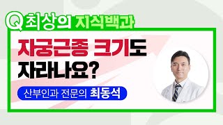 [최상의 지식백과] 자궁근종 크기도 자라나요?