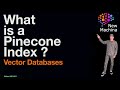What is a Pinecone Index ?