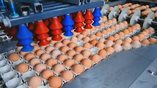 How It's Made Eggs