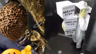 ¡ABEJAS EN EL ASCENSOR! 🐝😱 Broma ÉPICA con Reacciones IMPACTANTES 🔥😂