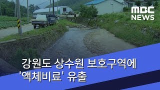 강원도 상수원 보호구역에 '액체비료' 유출 (2018.07.12/뉴스투데이/MBC)