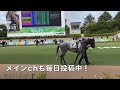 種牡馬エピファネイアの産駒傾向を考察！さらなる超大物を生み出せるか。