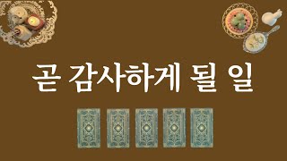 곧 감사하게 될 일이 생깁니다🙏 1장의 카드를 선택 후 확인해 보세요.