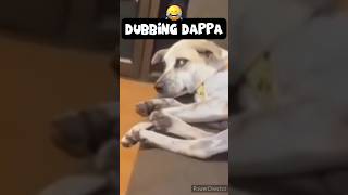 Laduki laduki 🤣 #funny #shorts #comedy #shortsfeed #dog #dogs #doglover #dogshorts #pets #pet