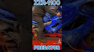 The Predator - ZZR1100 Dyno power run