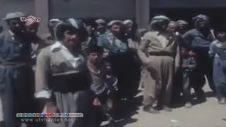 شاری هەولێر ۱۹۸۰ ( Erbil City 1980 )