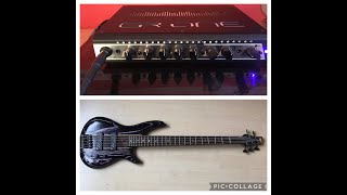 GR Bass One 800 + Ibanez SR1305SB MGL (Active)