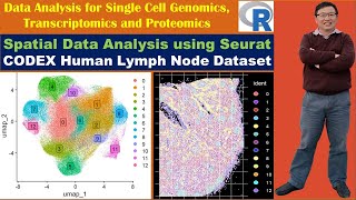 Spatial Data Analysis using Seurat: CODEX (Akoya PhenoCycler) Human Lymph Node Dataset