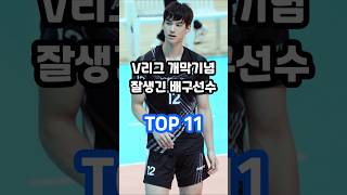 V리그 개막기념 잘생긴 남자 배구선수 TOP 11