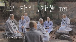 [가을특집1부]또다시, 가을 -정목스님의 나무아래 앉아서 313회(전체영상)