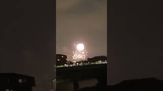 花火を見てきた【淀川花火】 #shorts #ハナビ #HANABI #新HANABI #スポット