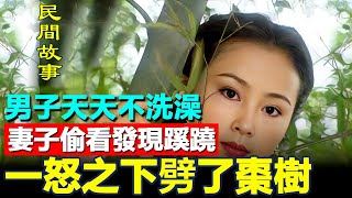 🔥 民間故事：男子天天不洗澡，妻子偷看發現蹊蹺，一怒之下劈了棗樹 #民間故事 #正能量故事 #傳奇故事 #民間傳說 #storytelling  #秋姐講故事