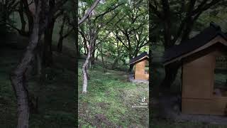 用作公園を歩く　朝地町　豊後大野市　大分県