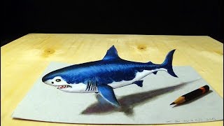Coloring and Drawing 3D Shark - Trick Art on Paper - Vamos
