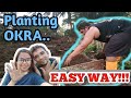 REPLANTING OKRA IN OUR GARDEN | EASY WAY !!! | GREEN EARTH Vlogs