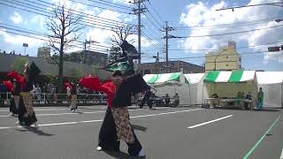 相模原　桜祭り　2018　颯舞龍　かみどん