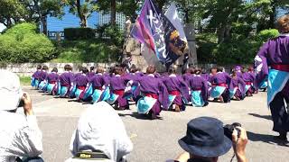 山口大学よさこいやっさん‼︎こいや祭り2019極楽橋会場②「うたかなた」