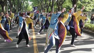 2019･08･03 ﾘｿﾞﾝなるこ会飛鳥彩夏祭一日目：南流し③