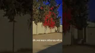 যতটুকু পারেন মানুষের উপকার করার চেষ্টা করেন, #bangladesh #foryou #motivation