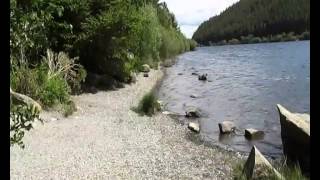 LLYN CRAFNANT ( Near Trefriw, North Wales )