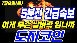 [ 도지코인 ]📢🔥긴급속보🔥 이게 무슨 날벼락 입니까 이 영상은 꼭 보세요🔥