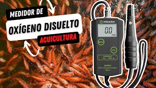 Como calibrar y usar el Medidor de Oxigeno Milwaukee MW600 Pro | Dissolved Oxygen Meter | Tutorial