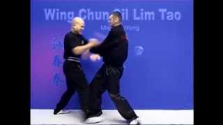 Wing Chun kung fu siu lim tao - form  applications Lessons 9-10
