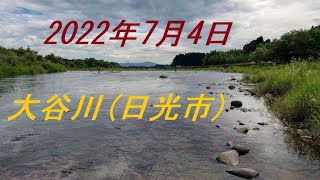 2022年7月4日　大谷川（日光市）