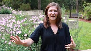 A Place of Hope: Little Ones Memory Garden