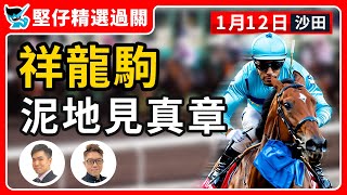 【堅仔精選過關】(1月12日) 祥龍駒 泥地見真章｜#賽馬貼士​​​​​​​｜#賽馬賠率​​​​​​​​​​​​​​​​​​​｜#賽馬