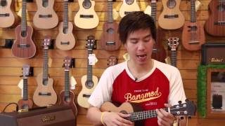 Ukulele Leho LHT-CF-E