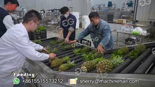Fruit Grading System Image Processing