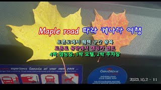 토론토,  몬트리올,  오타와,  퀘백 단풍여행