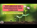 Pertumbuhan dan Perkembangan Pada Tumbuhan