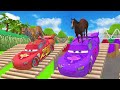 5 giant duck cartoon cow elephant tiger lion dinosaur paint wild animals crossing fountain animation