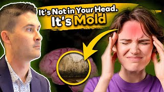 How Mold Hijacks Your Brain (And You Don’t Even Know It)