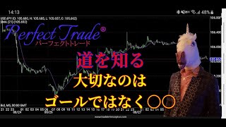 FX【PerfectTrade】道を知る