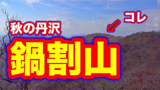 【登山4K】丹沢鍋割山 2023.11.04　後沢乗越登り-小丸尾根下り