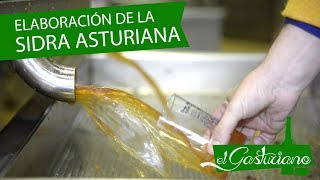 Faciendo Sidra Asturiana | 2ª Parte: Mayado y prensado | El Gasturiano